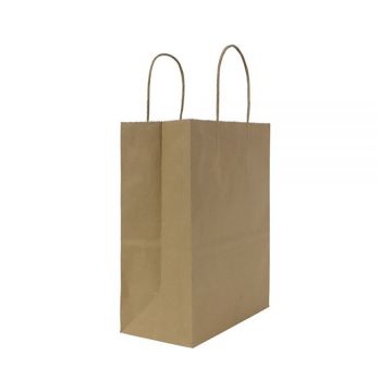 Karat Balboa 8.1" x 4.5" x 10.6" Kraft Paper Shopping Bag - 250 Count