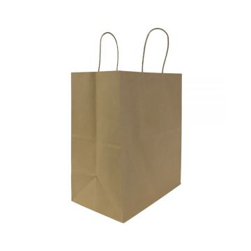 Karat Malibu 12.2" x 7.5" x 14" Kraft Paper Shopping Bag - 250 Count